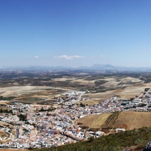 Alameda en Málaga